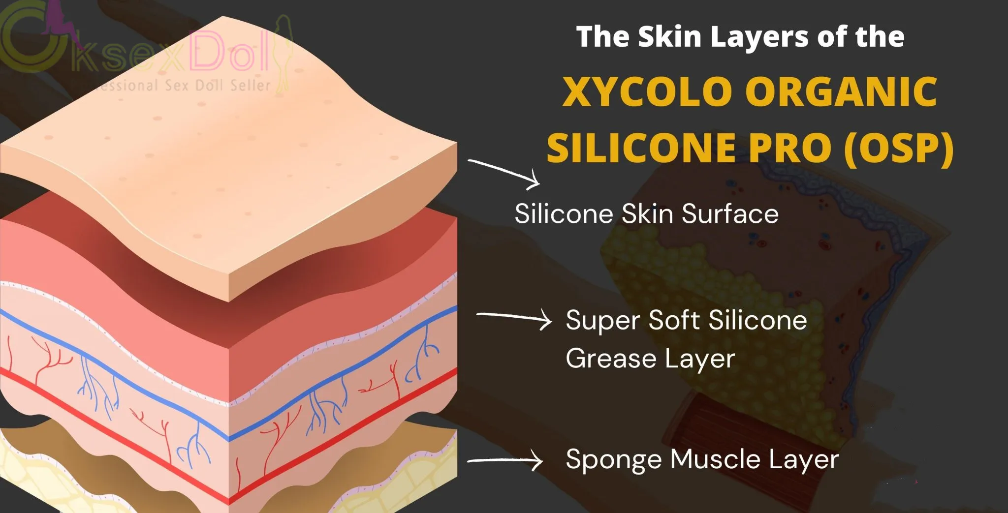 Xycolo Organic Silicone PRO Series